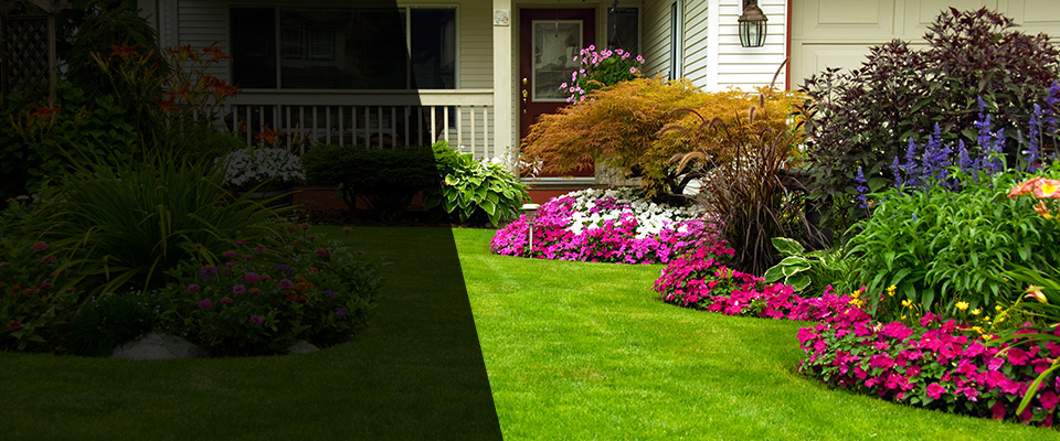 Leadville Landscapers