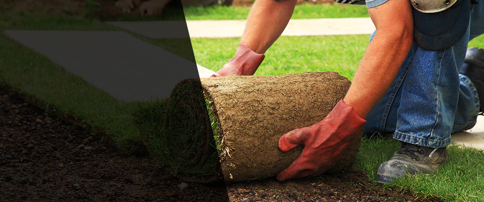 Leadville Landscapers